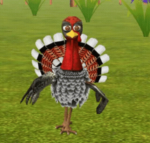 dancing turkey gif tumblr