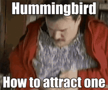 Hummingbird How To Attract One GIF - Hummingbird How To Attract One Flower GIFs