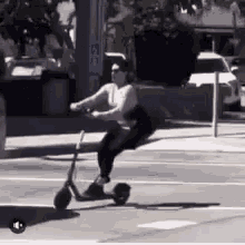 Bird Scooter Fail GIF - Electric Scooter Scooter Bird GIFs