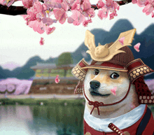Japan Doge GIF - Japan Doge Samurai GIFs