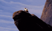 a cartoon of two monkeys standing next to each other on a rock .