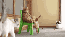 Just Wants To Be Left Alone GIF - Cats Lazy Sitting GIFs