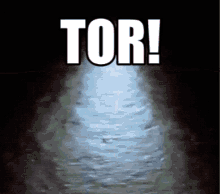 Tor Müller GIF - Tor Müller Treffer GIFs