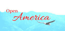 America Open America GIF