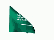saudi arabia flag waving flag