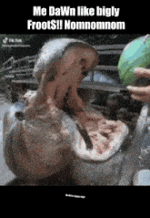 a hippopotamus with its mouth open eating a watermelon