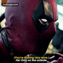 (You'Re Looking Very Alive.),Ha! Only On The Outside..Gif GIF - (You'Re Looking Very Alive.) Ha! Only On The Outside. Deadpool GIFs