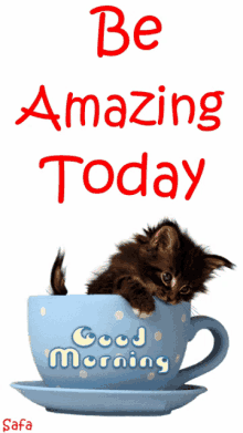 Be Amazing Today Cat GIF - Be Amazing Today Cat Teacup GIFs
