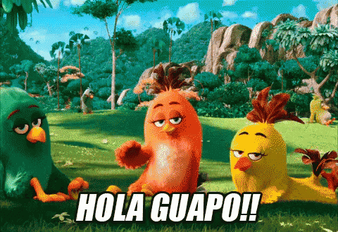 Hola Guapo GIF - Angry Birds Hola Guapo - Discover & Share GIFs