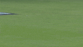 a cricket player wearing number 23 runs towards the ball
