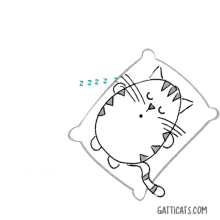 Gatticats Sleepycat GIF - Gatticats Sleepycat Sleepy GIFs