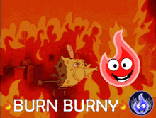 Burny Crypto GIF - Burny Crypto Burniest GIFs
