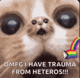 a close up of a cat 's face with the words omfg i have trauma from heteros written on it .