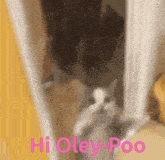 Oley-poo Greedyu GIF - Oley-poo Ole Poo GIFs