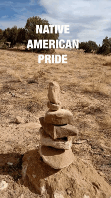 Native America GIF - Native America Prideful GIFs