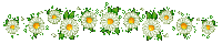 a border of daisies with green leaves on a white background