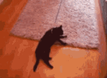 Black Cat Sideward GIF - Black Cat Sideward Carpet GIFs
