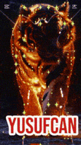 a tiger with the name yusufcan on it