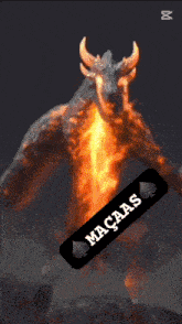 a picture of a dragon with the word macaas written on it