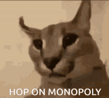 Monopoly Floppa GIF - Monopoly Floppa Game GIFs