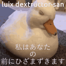 Luix Dextructor Duck GIF - Luix Dextructor Duck Pato GIFs