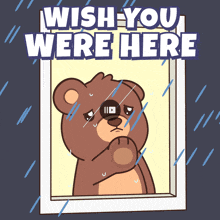 a teddy bear is looking out a window with the words wish you were here above him