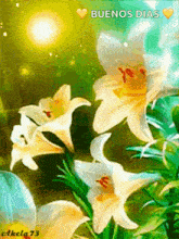Blooming Flower GIF