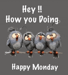 four angry birds sitting on a branch with the words " hey !! how you doing "