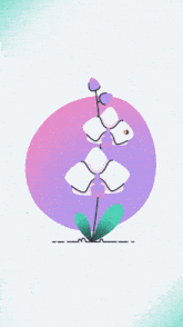 a drawing of a hand holding a flower with the word orchidee written below it