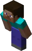 a minecraft character with a blue shirt and pants