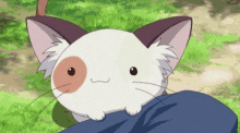 GIF