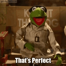 Perfect Kermit The Frog GIF - Perfect Kermit The Frog Kermit GIFs