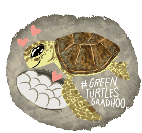 Green Turtle Sea Turtle Sticker - Green Turtle Sea Turtle Turtle Eggs Stickers