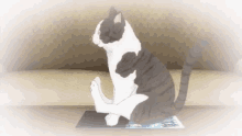 Anime Cat GIF - Anime Cat Butt Wiping GIFs