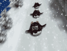 Winter Break Sledding GIF - Winter Break Sledding Penguins GIFs