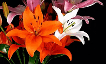 Blumen Zum Muttertag GIF - Blumen Muttertag Alles Gute GIFs