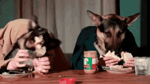 Dogs Are Messy Eaters - Messy GIF - Messy Dogs Dog GIFs