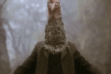 a person with a turkey head on their head in a forest .