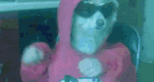 GIF