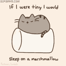 pusheen small cute marshmallow sleep