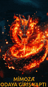 a poster of a fire dragon with the words mimoza odaya giriş yapti