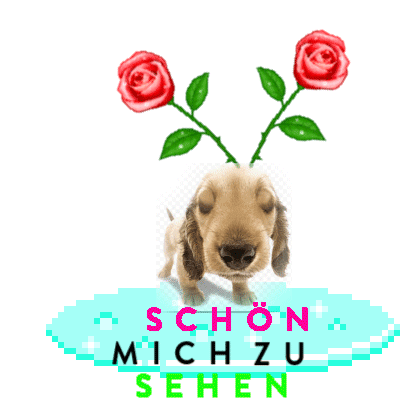 Mcfitti Schoenmichzusehen Sticker - Mcfitti Fitti Schoenmichzusehen Stickers