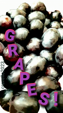 juicy grape
