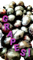 Grapes Black Grapes Sticker - Grapes Black Grapes Nutritional Food Stickers