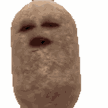 sammich potato