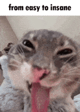 a close up of a cat with its tongue hanging out and the words from easy to insane above it