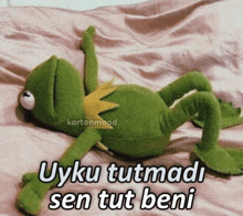 a stuffed kermit the frog is laying on a bed with the words uyku tutmadi sen tut beni