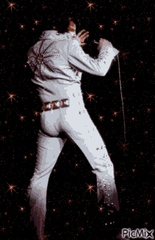 Elvis Presley American Singer GIF