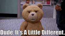 Ted Tv Show Dude Its A Little Different GIF - Ted Tv Show Dude Its A Little Different Different GIFs