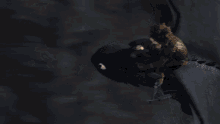 Thumbs Up GIF - How To Train Your Dragon Race To The Edge Httyd GIFs